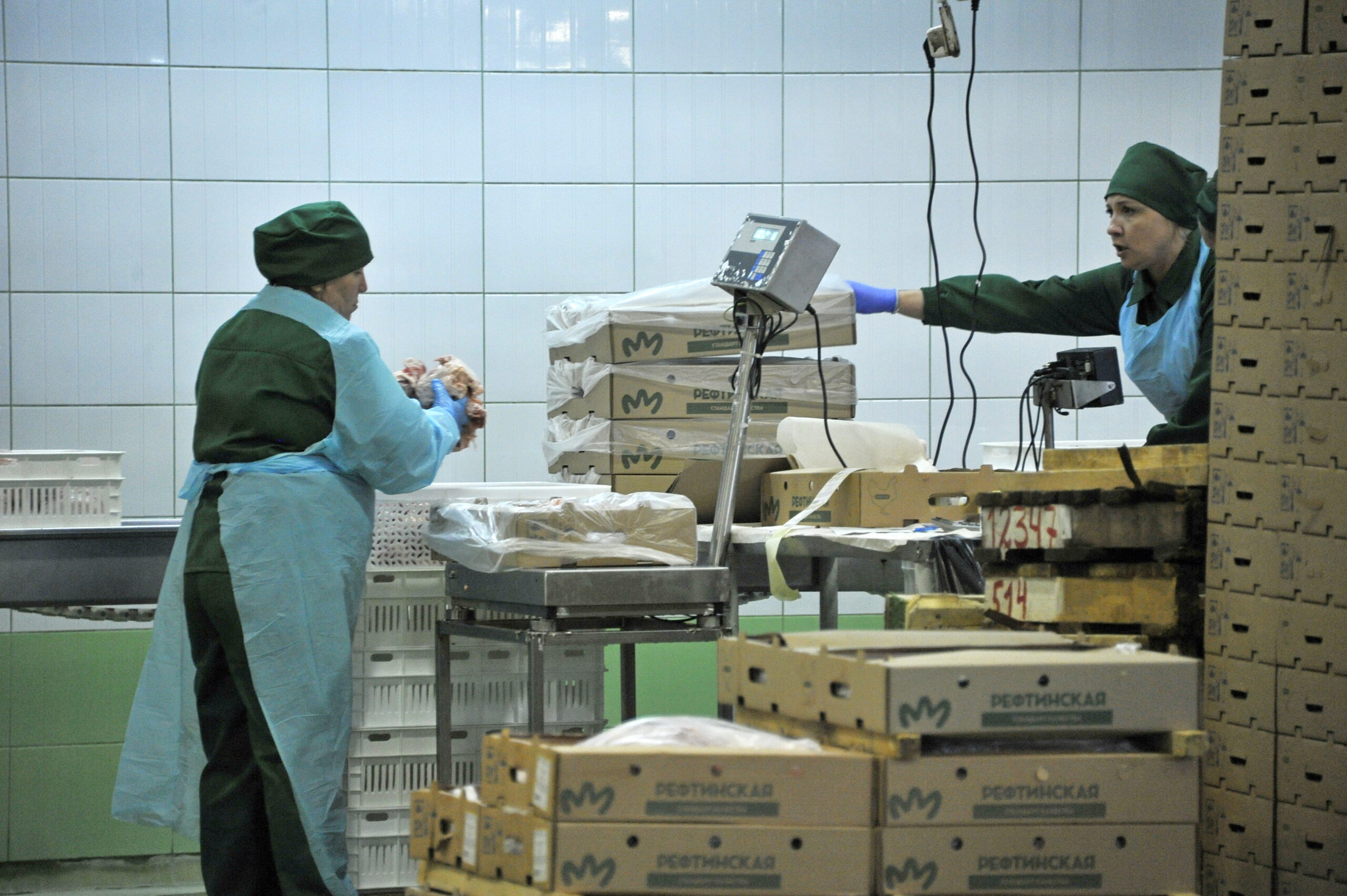 Рефтинская птицефабрика начала поставлять свою продукцию за рубеж |  Областная газета