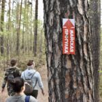 Фото: Полина Зиновьева