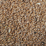 Фото: Архив Компании “Сибагро”