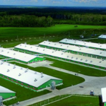 Фото: предоставлено пресс-службой «Сибагро»