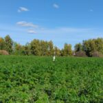 Фото: пресс-служба УрГАУ