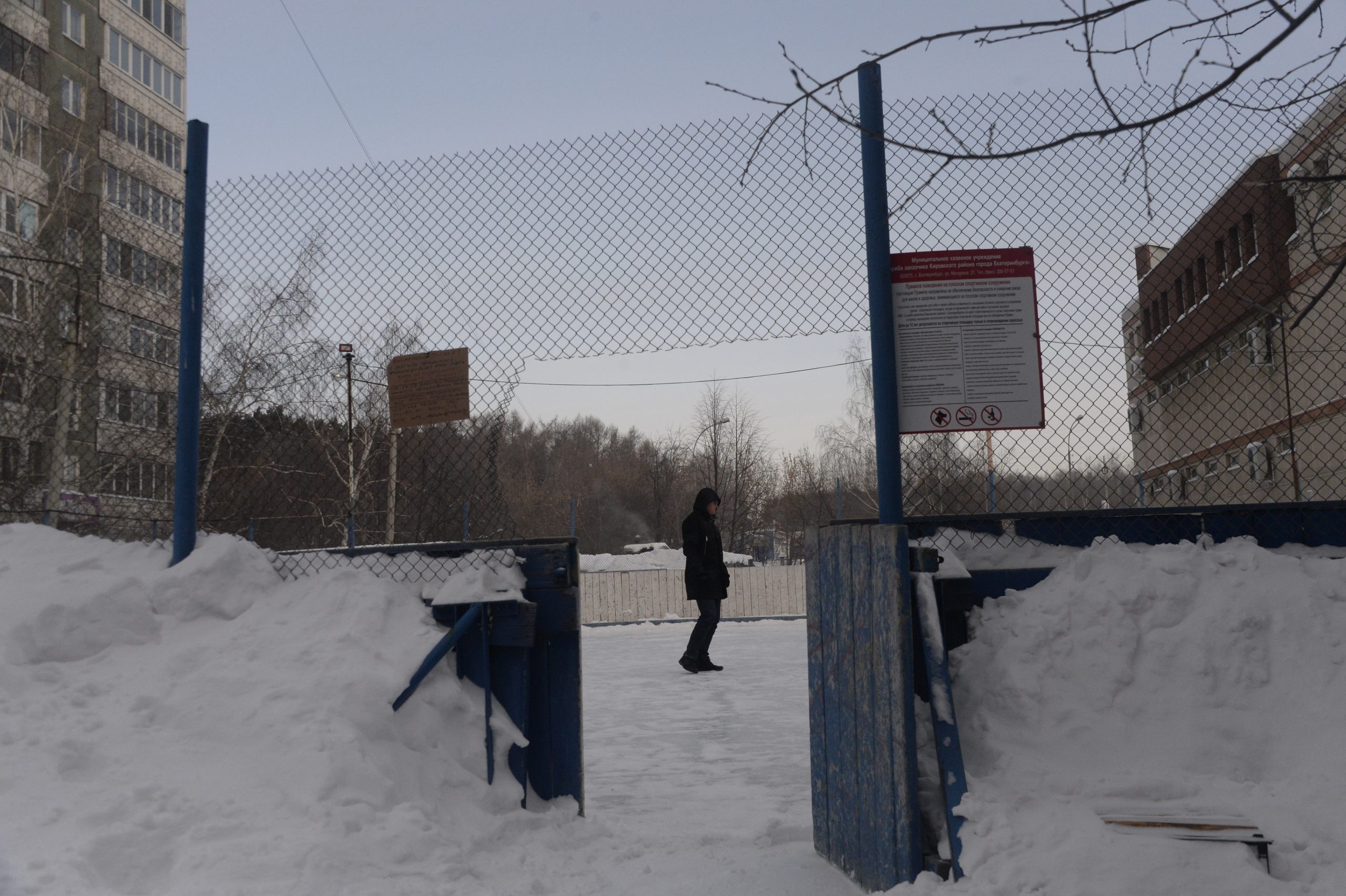 В Екатеринбурге в следующем году появятся 8 новых спортивных площадок |  Областная газета