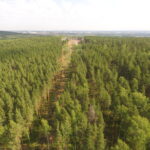 До строительства ЕКАД. Фото: bkdrf.ru / Минтранс россии