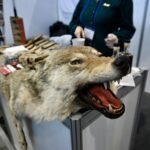 Фото: Полина Зиновьева, «Областная газета»