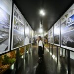 Фото: Полина Зиновьева, «Областная газета»