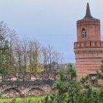 Фото: Алена Курочкина, «Областная газета»