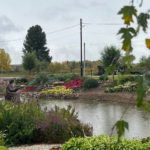 Фото: Алена Курочкина, «Областная газета»