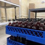 Фото: Алена Курочкина, «Областная газета»