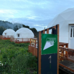 Фото: Алена Курочкина, «Областная газета»