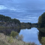 Фото: Алена Курочкина, «Областная газета»