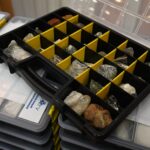 Фото: предоставлено пресс-службой УГГУ