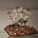 Фото: Борис Ярков, «Областная газета»