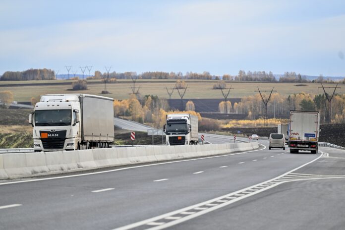 Фото: Полина Зиновьева, «Областная газета»