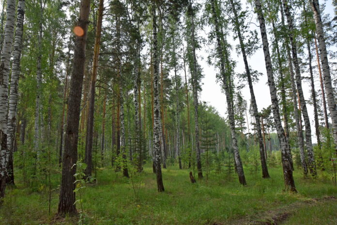 Фото: Борис Ярков, «Областная газета»