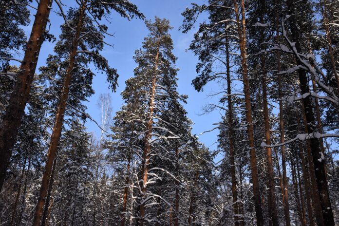 Фото: Борис Ярков, «Областная газета»