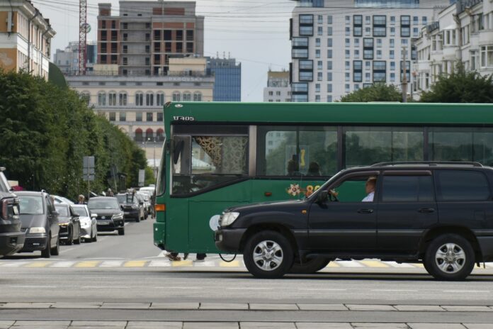 Фото: Полина Зиновьева, «Областная газета»