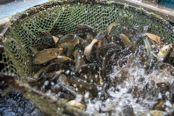 Фото: Управление коммникаций Белоярской АЭС