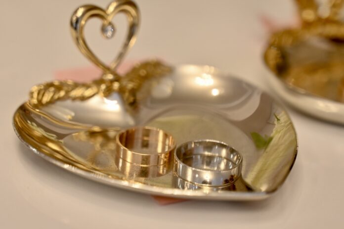 Фото: Полина Зиновьева, «Областная газета»