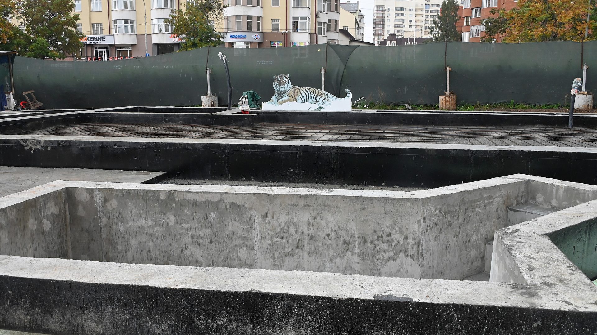 На фотографии виден начальный этап строительства вольера для тигров: залитый бетонный фундамент, чаши будущих бассейнов и защитное ограждение на фоне жилых многоэтажных домов. По центру установлен картонный макет лежащего амурского тигра