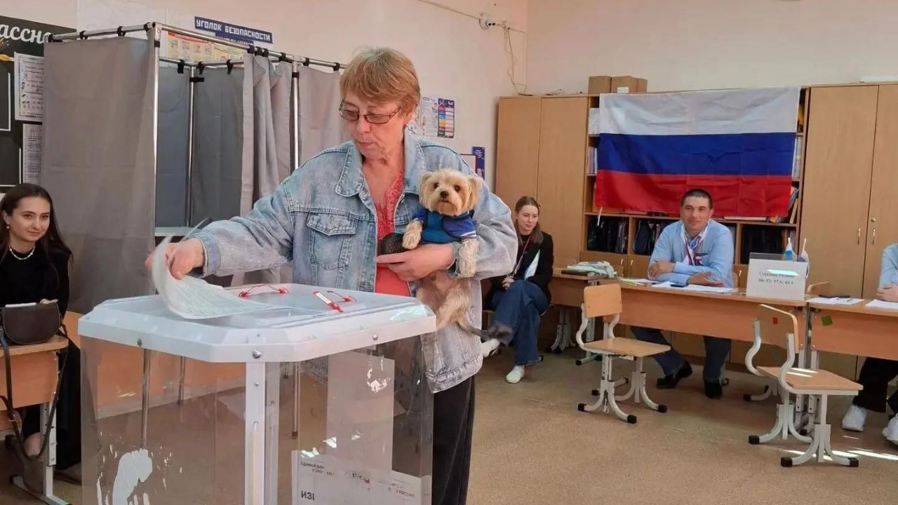 голосование, выборы, Свердловская область