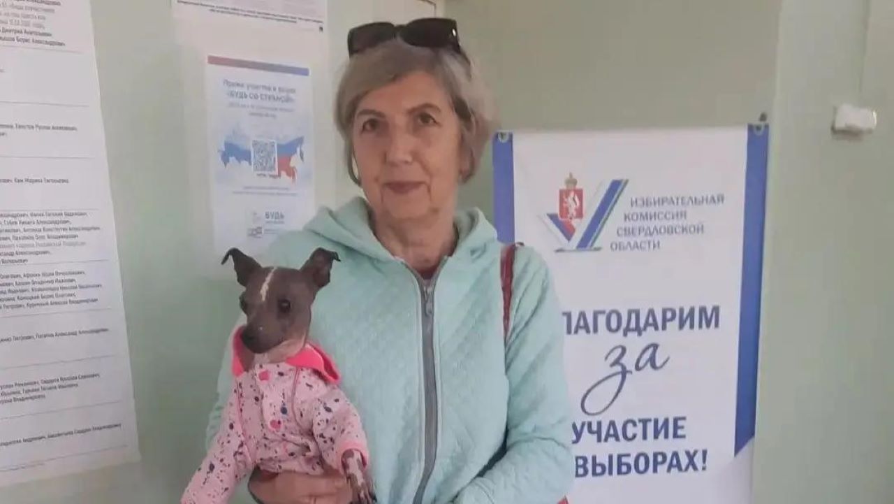 выборы, голосование, Свердловская область