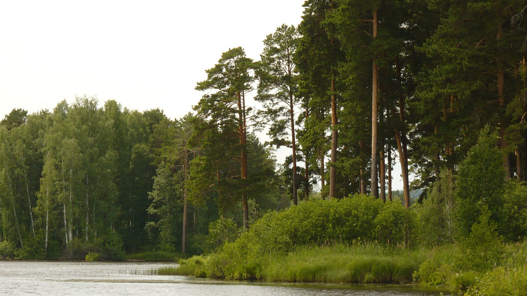 Парк
