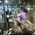 Фото: Полина Зиновьева, «Областная газета»