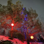 Фото: Полина Зиновьева, «Областная газета»