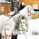 Фото: Павел Ворожцов, «Областная газета»